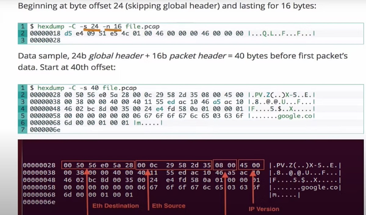 Building a Custom Network Monitoring System